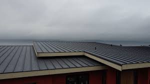 Best Steel Roofing  in Panama City, FL